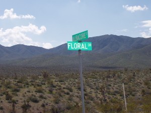 Albacore and Floral St.